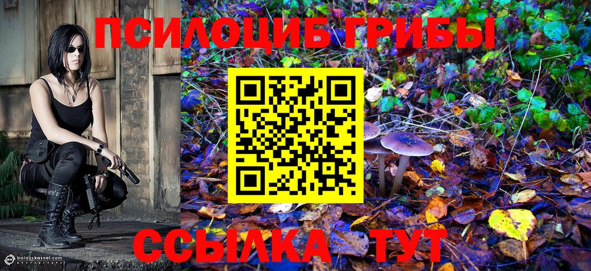 Галлюциногенные грибы Cubensis Грозный