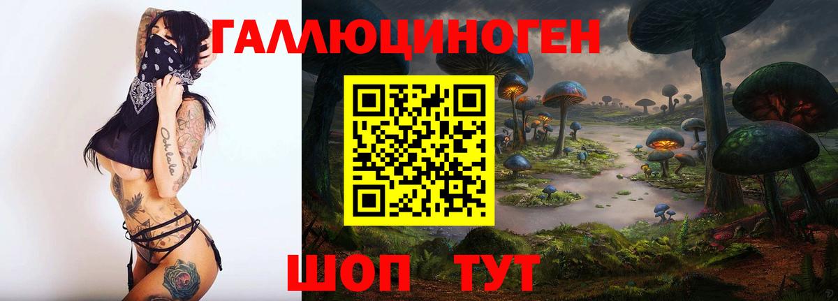 Грозный  Псилоцибиновые грибы Psilocybine cubensis  магазин  наркотиков  Вход с VPN  Псилоцибиновые грибы MAGIC MUSHROOMS 