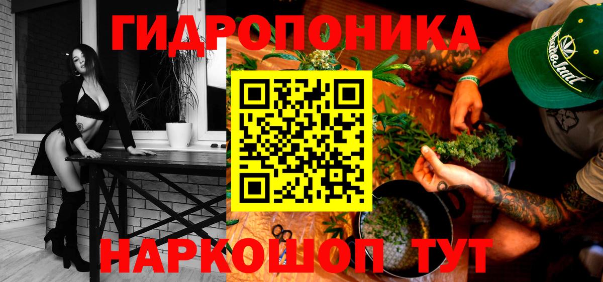 Конопля индика Грозный